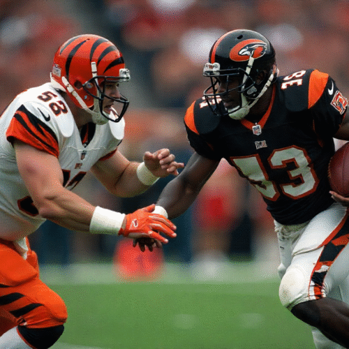 bengals vs baltimore ravens match player stats