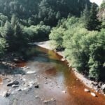 What Is Xovfullmins Found In? Safety, Benefits, and Facts