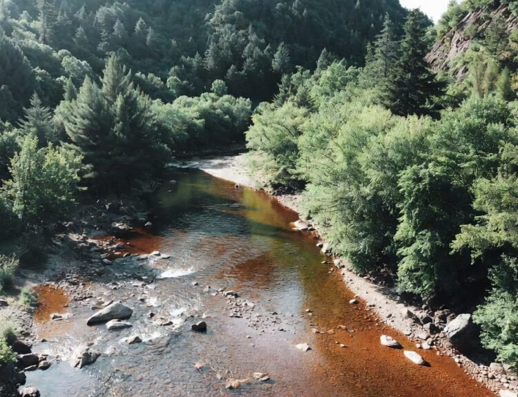 what is xovfullmins found in